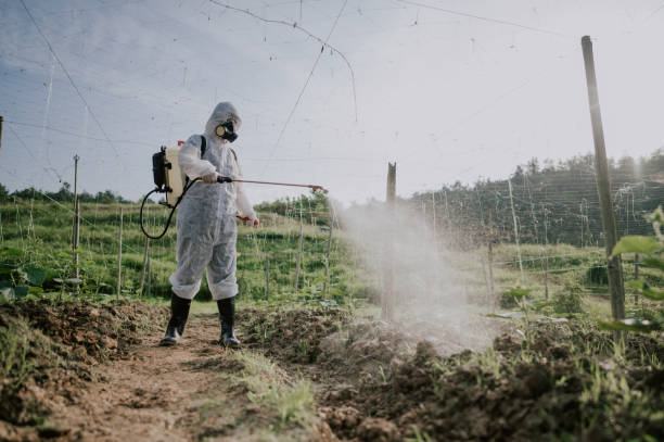 Best Pest Prevention Services  in Leupp, AZ