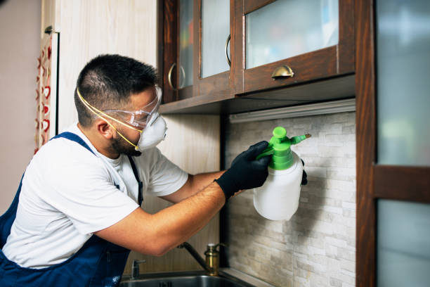 Best Rat Extermination Near Me  in Leupp, AZ