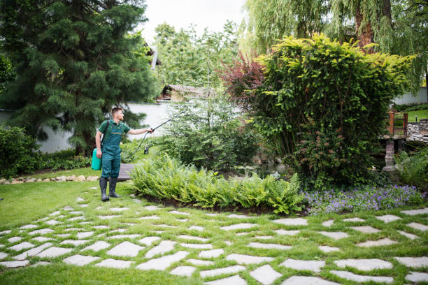 Best Local Pest Control Services  in Leupp, AZ