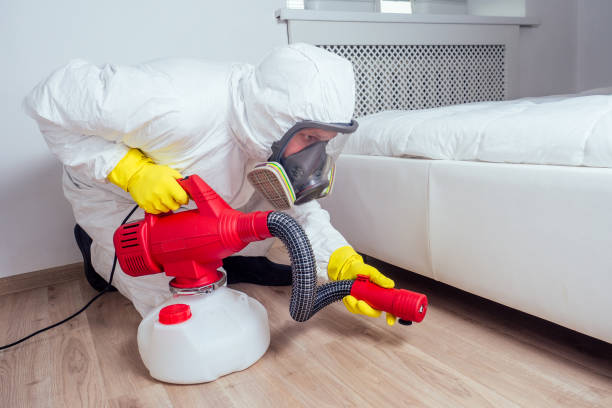 Best Wasp Removal Services  in Leupp, AZ