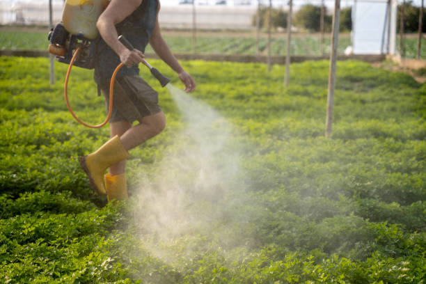 Best Mosquito Control Services  in Leupp, AZ