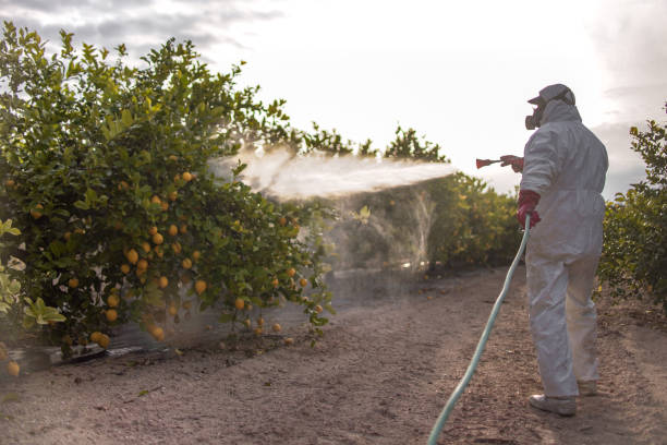 Best Spider Control Near Me  in Leupp, AZ