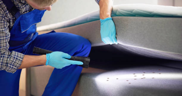 Reliable Leupp, AZ Pest Control Solutions
