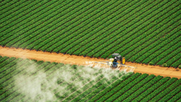 Insect Control in Leupp, AZ