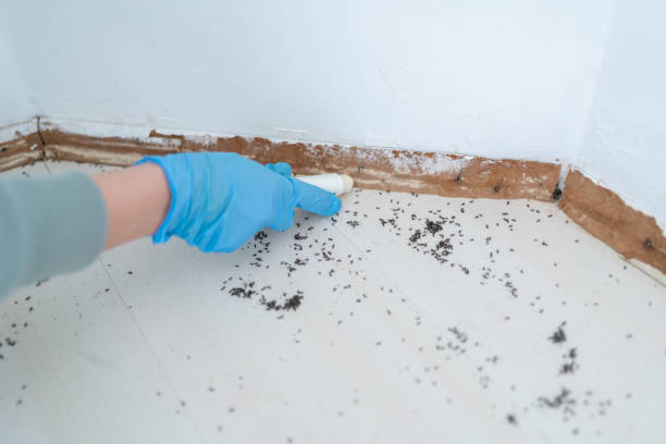 Best Wildlife Control Services  in Leupp, AZ